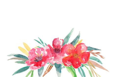 Shop emily flowers society6 store featuring unique designs on various products across wall art, tech accessories, apparels, home decor and other unique lifestyle goods. Emily Watercolors Flowers By Anissa Anwar | TheHungryJPEG.com