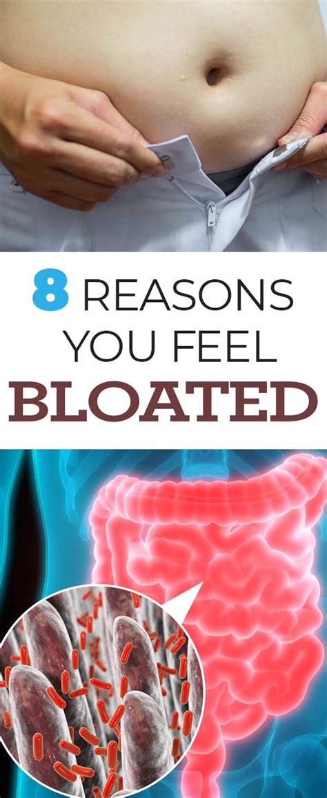 8 Common Reasons You Feel Bloated All The Time And How To Fix The