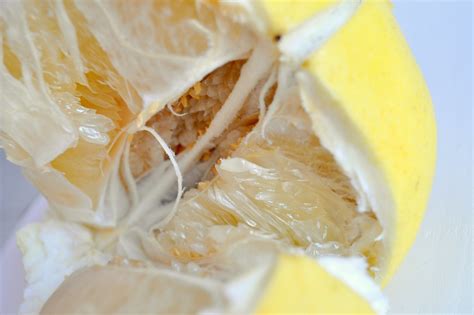 Pomelo chinois Honey pomelo Un gros pomelo 800g moins