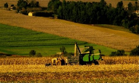 Le Figaro România Noul Eldorado Pentru Achiziția De Terenuri Agricole