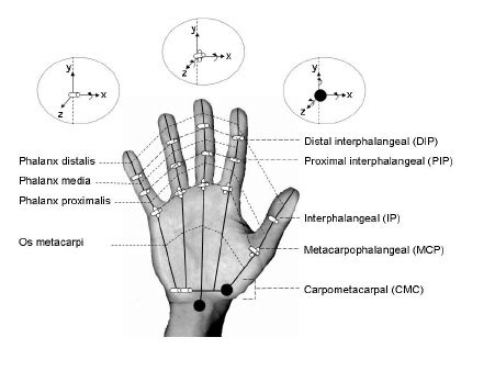 Antonio rudiger by yeshua facemaker. The wrist band used for pose estimation of the data glove and... | Download Scientific Diagram