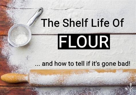 Apparently it doesn't work as well when it gets old. Does Flour Go Bad? How Long Does Flour Last? | Easy baking ...