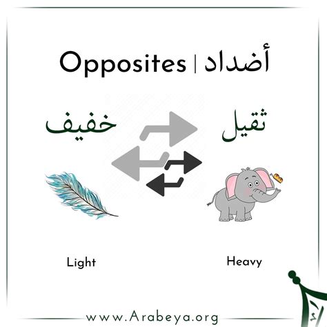 Some of the opposites in Modern Standard Arabic ️⬅️ #Opposites #ModernStandardArabic # ...