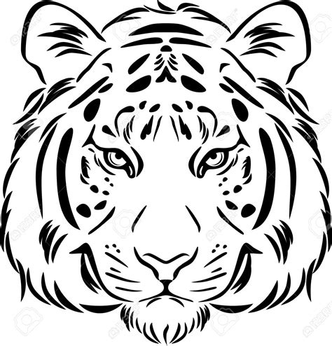 Tiger Face Drawing Head Easy Sketch Roaring Vector Tigers Outline Clip
