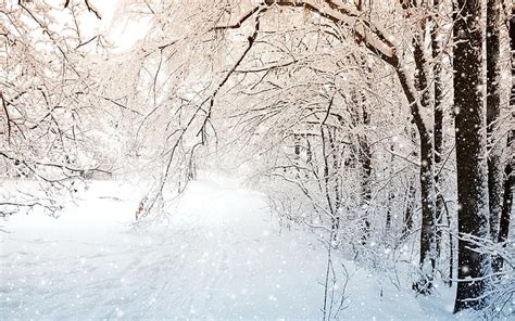 Hd Wallpaper Winter White Snow Aesthetic Seasons Nature Landscape