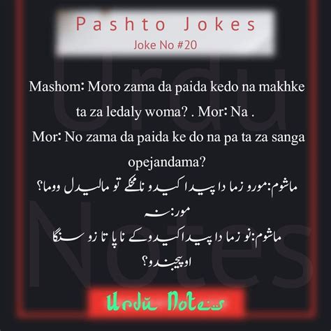 Pin On Pashto Jokes Collection