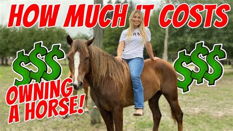 How Much Does It Cost To Keep A Horse On Your Own Land Best 8 Answer