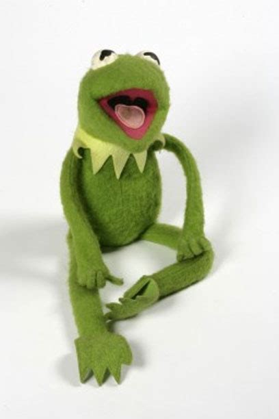 Kermit The Frog The Muppets Photo 121884 Fanpop