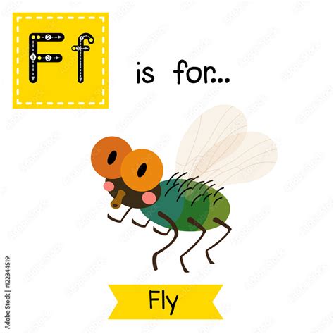 F Letter Tracing Fly Cute Children Zoo Alphabet Flash Card Funny
