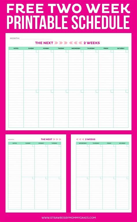 printable weekly calendar  organized  weeks   time