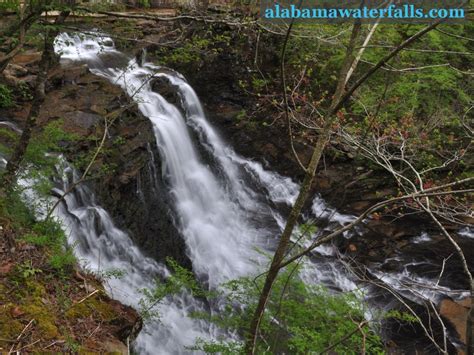 Best Day Trips From Huntsville Alabama For Nature Lovers Alabama