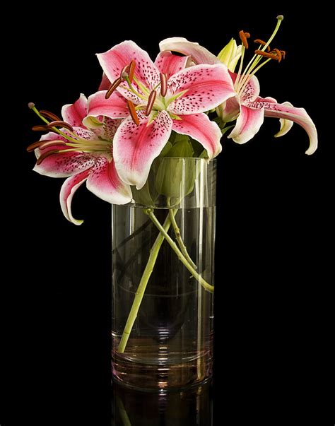 Different types of water lily flower. Pictures of Different Types of Lilies That'll Simply ...