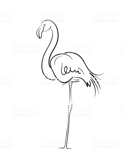 Gestural Drawing Of A Flamingo Line Art Drawings Line Art Drawings