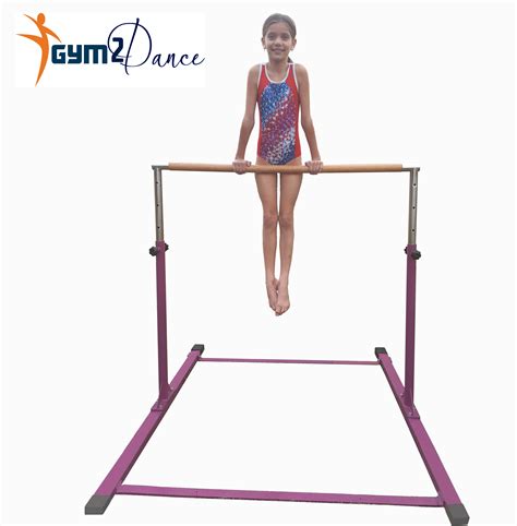 Adjustable Gymnastics Bar Model Dx Color Barney Purple