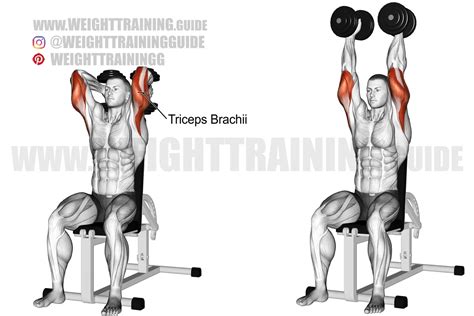 Seated Two Arm Overhead Dumbbell Triceps Extension Exercise Instructions