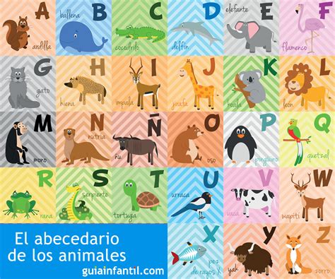 Animales Con La Letra Y