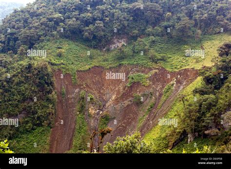 Landslide In The Amazonian Foothills Of The Andes In Ecuador Caused