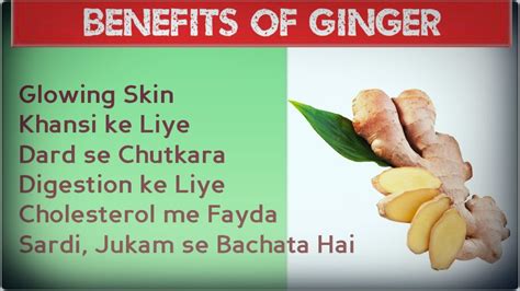 Benefits Of Ginger Adrak Ke Fayde Aapki Health Ke Liye
