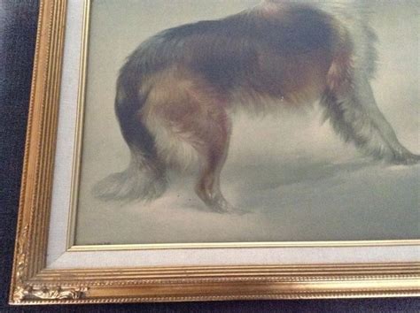 Collie And Lamb Painting At Explore Collection Of
