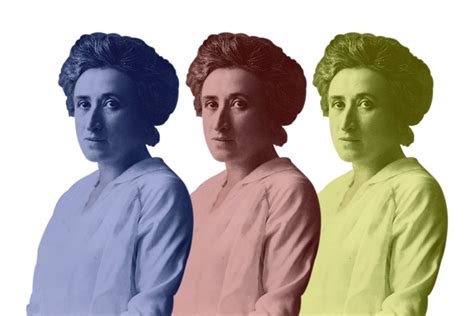 ROSA LUXEMBURG COMPLETE COLLECTION Thinkev Com