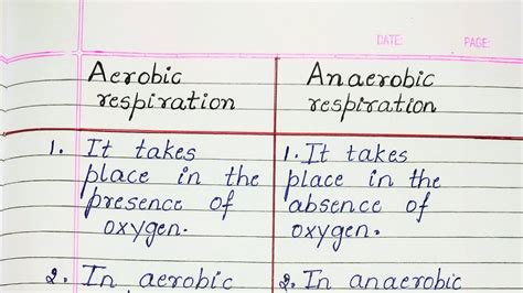 Difference Between Aerobic Respiration And Anaerobic Respiration YouTube