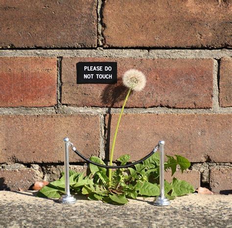 Artist Leaves Funny Signs Around City For People To Find Art