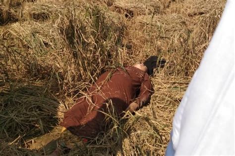 a woman dead body was found in kutupalong s paddy field rohingya khobor