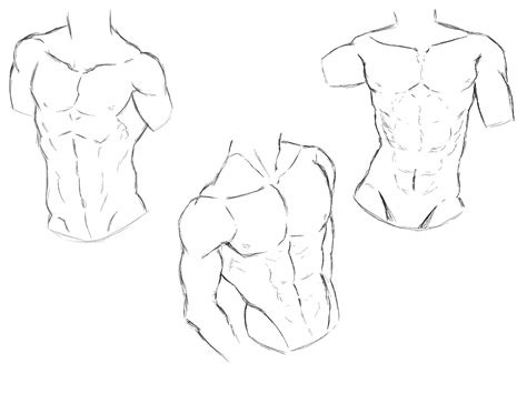 Details Anime Male Anatomy Reference Super Hot Tdesign Edu Vn