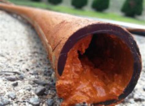 Some signs of iron or sulfur bacteria are slime, a stringy material growing out from the sides. Iron Bacteria - H2O Equipment