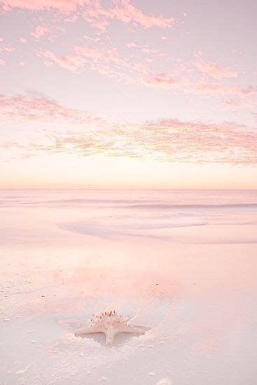 Check spelling or type a new query. Pink Beach photo | Landscape photography | Starfish on the ...