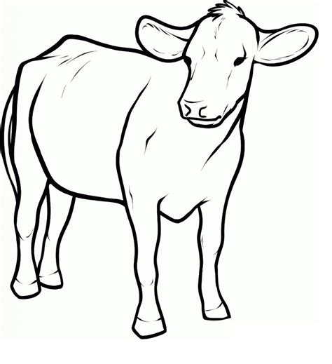 Cow Coloring Page For Kids Image Animal Place