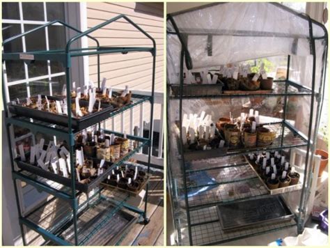 Make sure to use a media that won't. It's Gardening Time: Starting Seeds Indoors | Jen Schmidt