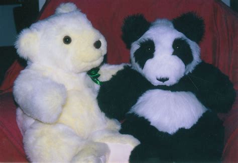 Whimsy Bears Arent The Only Ones Pandas Also Love To Cuddle Teddy