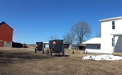 5 Things That Might Surprise You About Amish Buggies Amish America