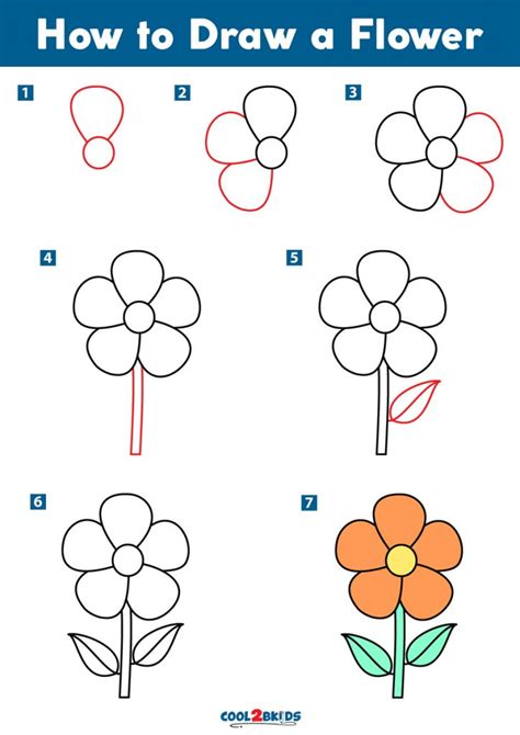 Step By Step Drawing A Flower