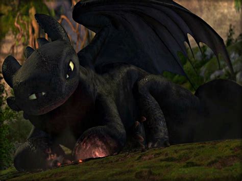 Toothless How To Train Your Dragon Wallpaper 32987270 Fanpop