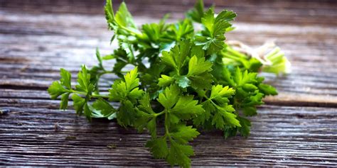 Use Bitter Herbs For Optimal Digestion And Detoxification Healing The