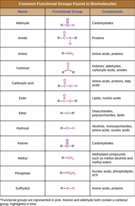 71 Organic Molecules Biology Libretexts Functional Groups Organic