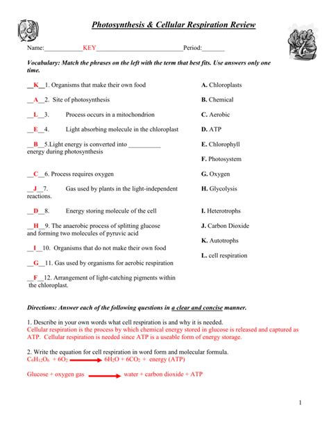 The pdf resources below are password protected. Atp Worksheet Answers — excelguider.com
