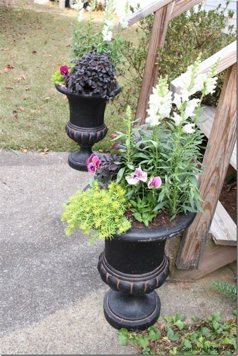 Planting Containers With Southern Living Plant Collection Southern