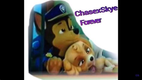Chase X Skye Paw Patrol Animated Couples Photo 40110245 Fanpop