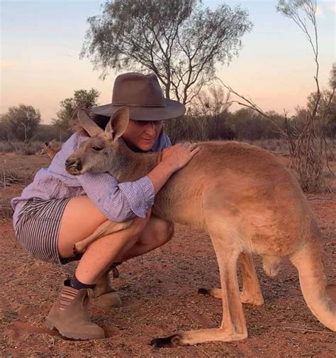 Rescued Kangaroo Cant Stop Hugging The Volunteers Who Saved Her Life Pics And Vid Truth