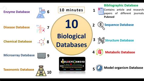 Types Of Biological Database In Bioinformatics With Example Youtube