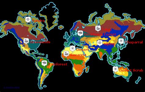 Stepmap World Biomes Map Landkarte Für Usa