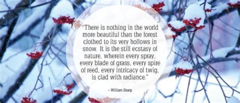 Snow Day Quotes Happy Quotesgram