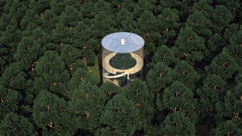 Tree House Turned Inside Out By Kazakh Designer