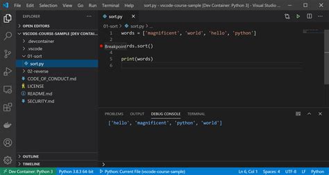 How To Fix Missing Breakpoints View In Visual Studio Code Images