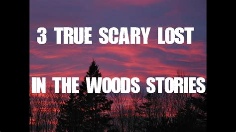 Three True Scary Lost In The Woods Stories Youtube
