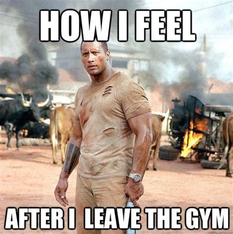 Workout Memes All Gym Goers Will Totally Get Workout Memes Workout