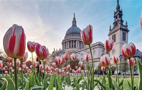 Things To Do This Easter 2020 In London London Tours